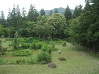 ほたる公園