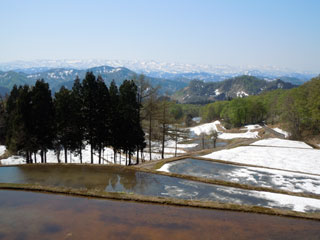 遠景に菱ケ岳